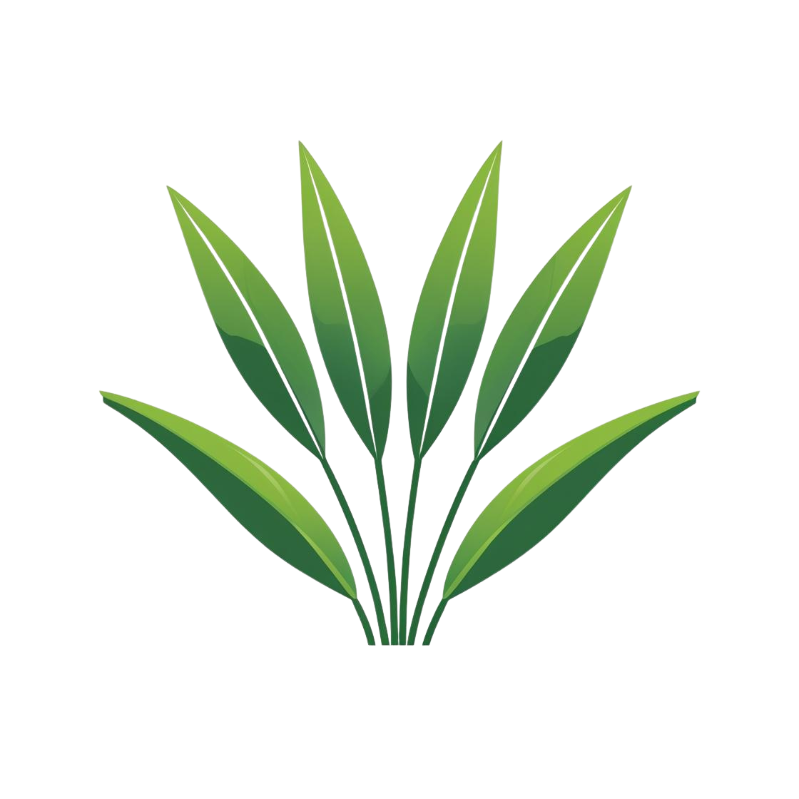 Solidgate Milpitas Landscaping - Professional Landscaping Services Solidgate Milpitas Landscaping Logo